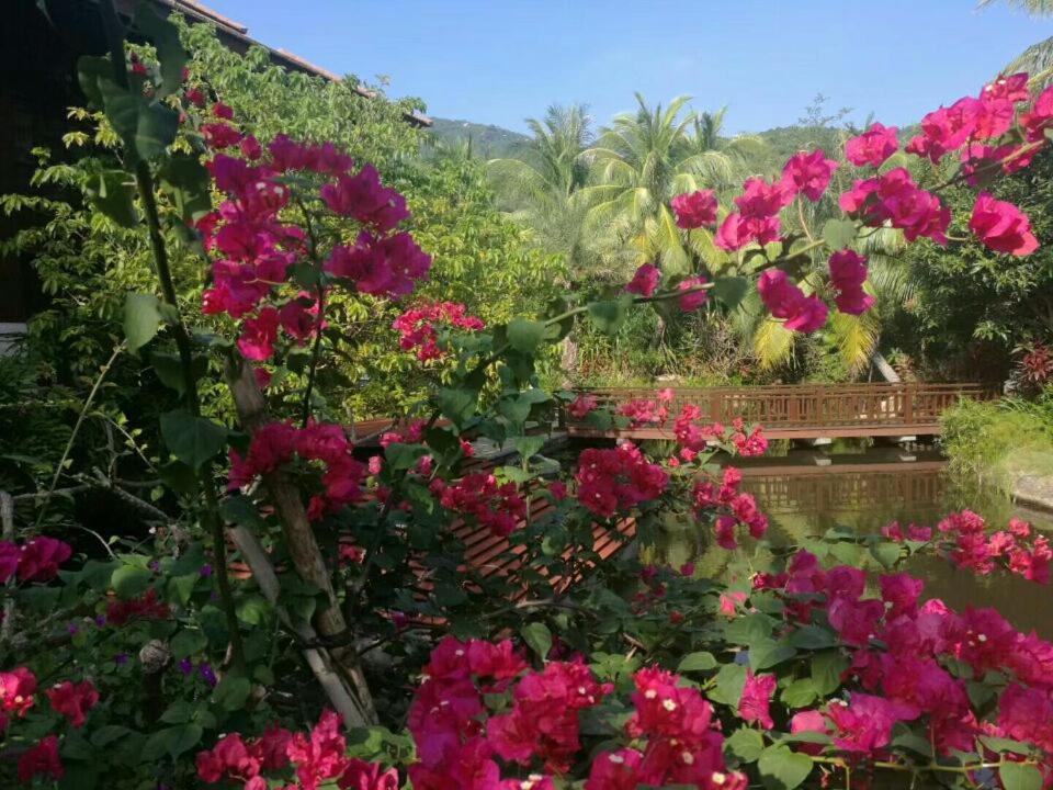 Stony Brook Villa Jianguo Resort סניה מראה חיצוני תמונה