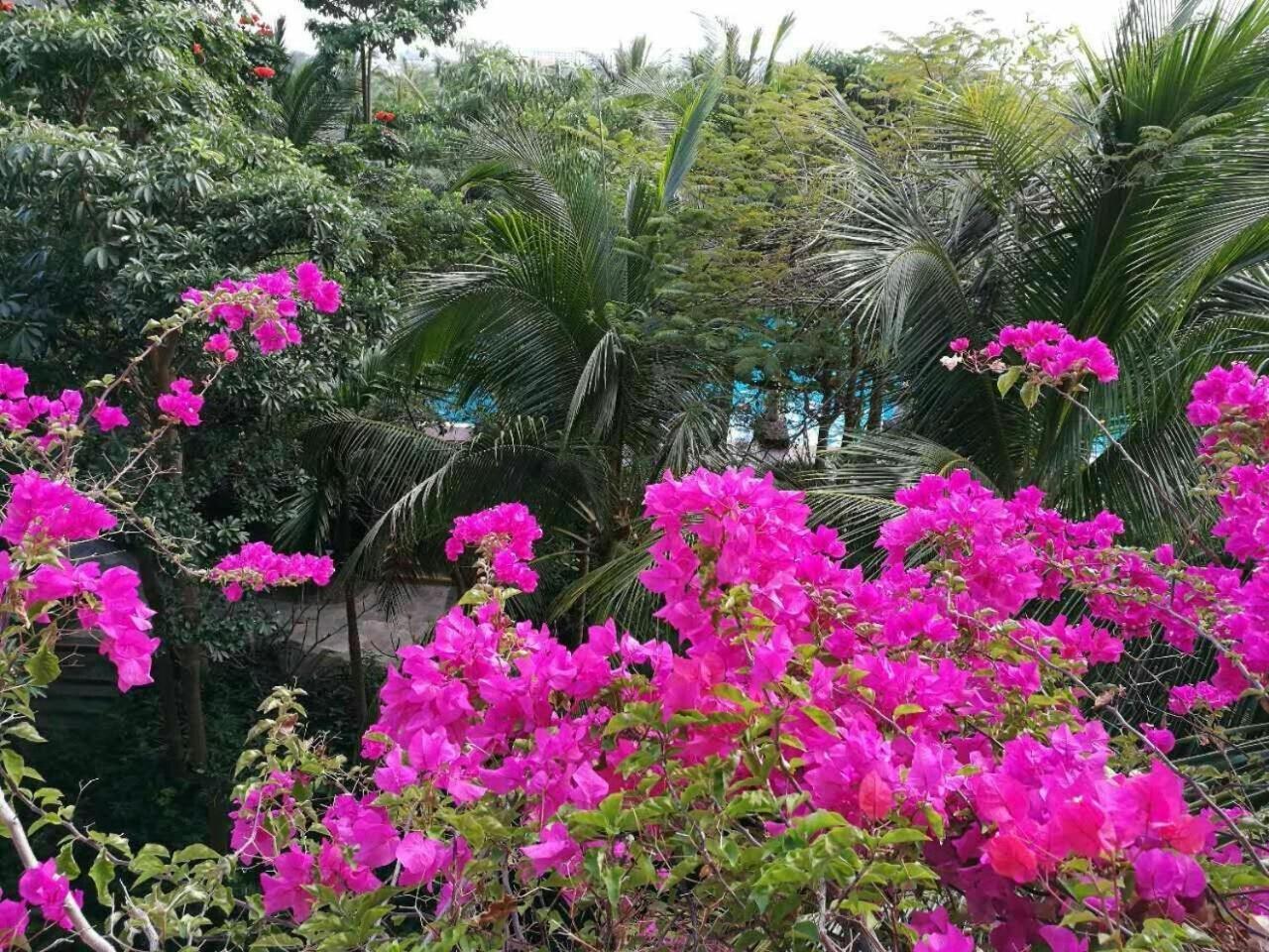 Stony Brook Villa Jianguo Resort סניה מראה חיצוני תמונה